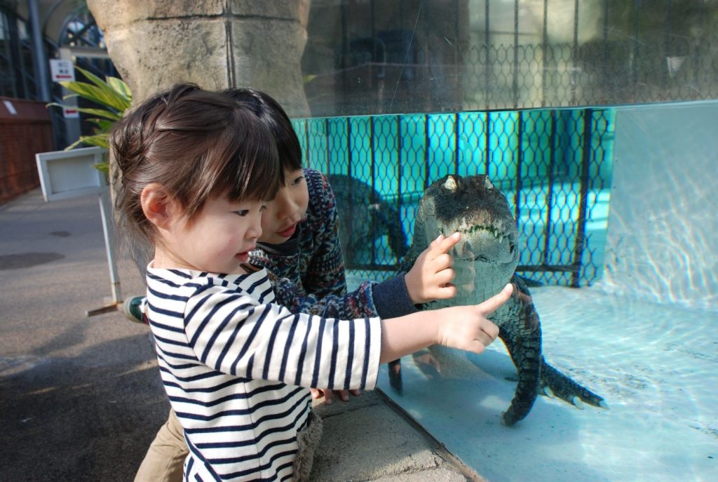 自由研究に 静岡県 熱川バナナワニ園 で おっきな蓮 亀に乗れるメルヘン体験 8 25 日 まで 温泉部