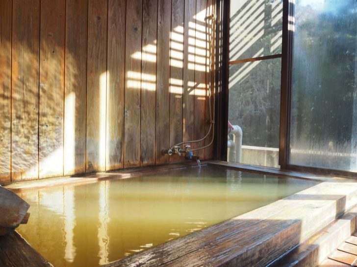 湯谷温泉の日帰り入浴なら「旅荘みつい」がおすすめ！貸切で源泉かけ流し黄金湯を満喫【愛知県】 | 温泉部